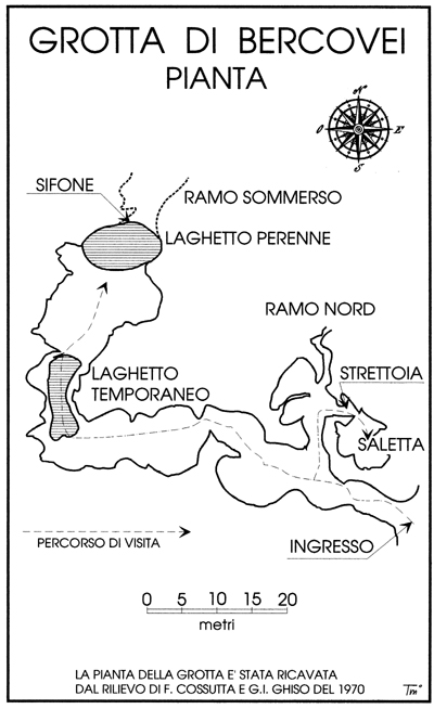  BERCOVEI SCHIZZO-A 