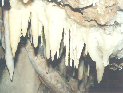  STALATTITI-A 