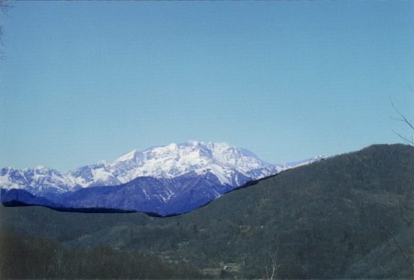  FENERA SFONDO M-ROSA 
